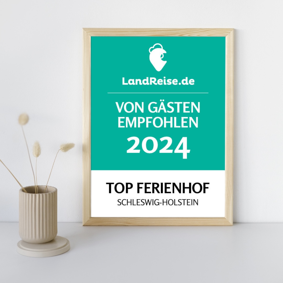 Instagram Feed_TOP Hof - Instagram Feed_SH