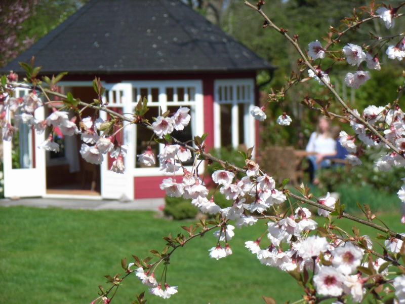 Kirschblüte Ferienhof Kähler Kirschblüte Ferienhof Kähler